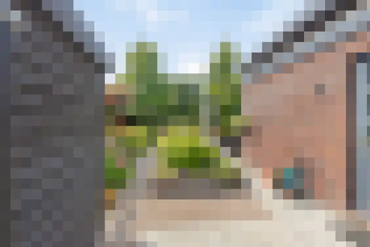 W F de Boerstraat 23 De Wilp thumbnail 33