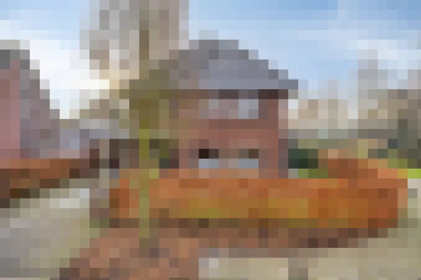 W F de Boerstraat 23 De Wilp thumbnail 36