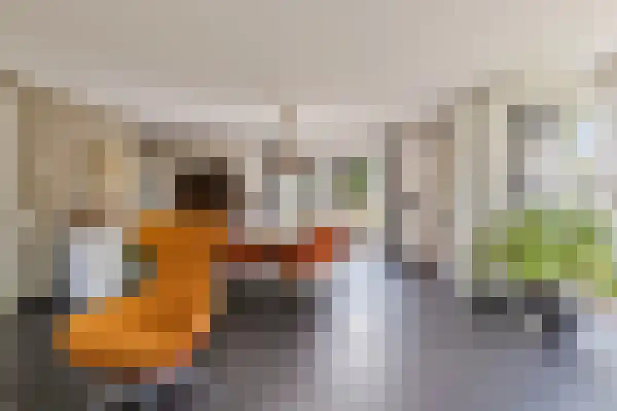 W F de Boerstraat 23 De Wilp thumbnail 4