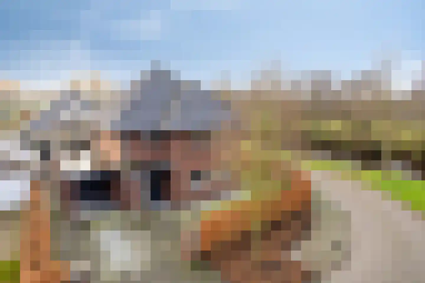 W F de Boerstraat 23 De Wilp thumbnail 5