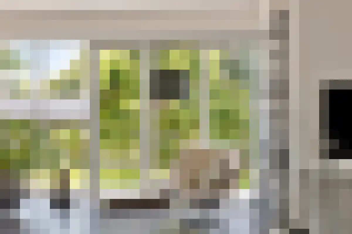 W F de Boerstraat 23 De Wilp thumbnail 8