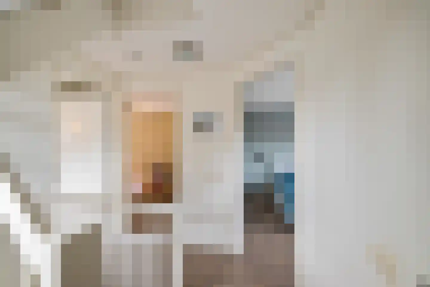 W F de Boerstraat 26 De Wilp thumbnail 20