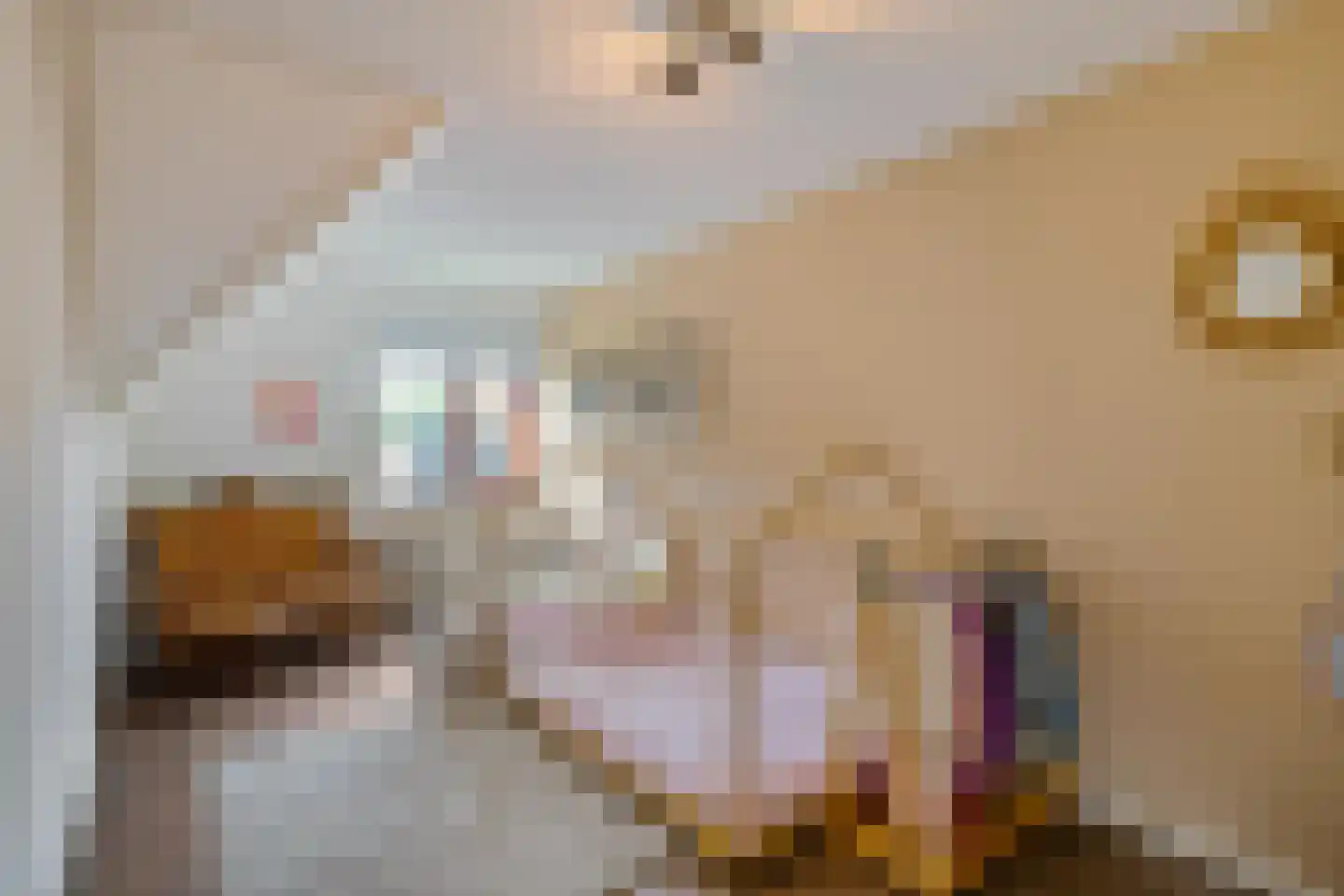 W F de Boerstraat 26 De Wilp thumbnail 24