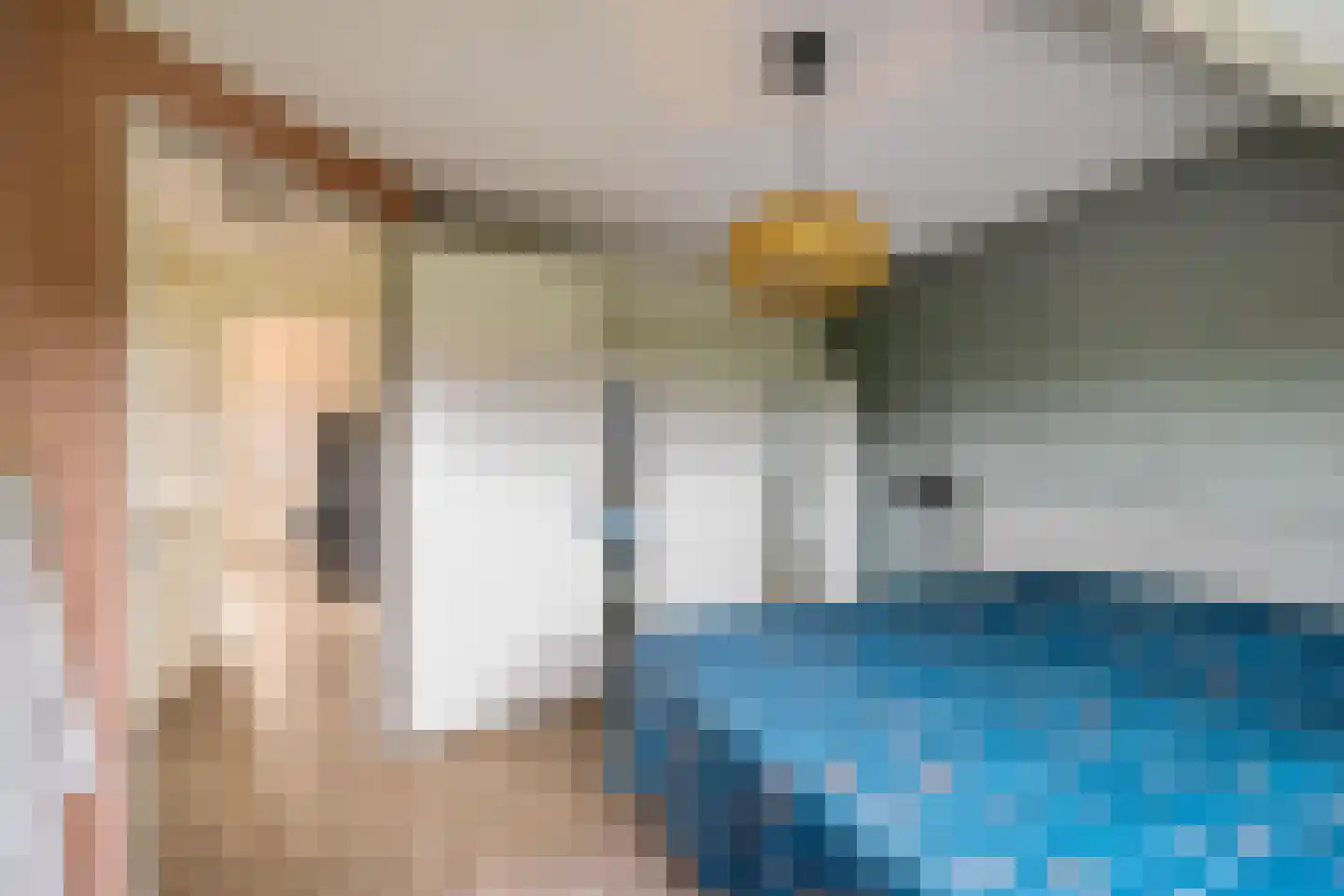 W F de Boerstraat 26 De Wilp thumbnail 28