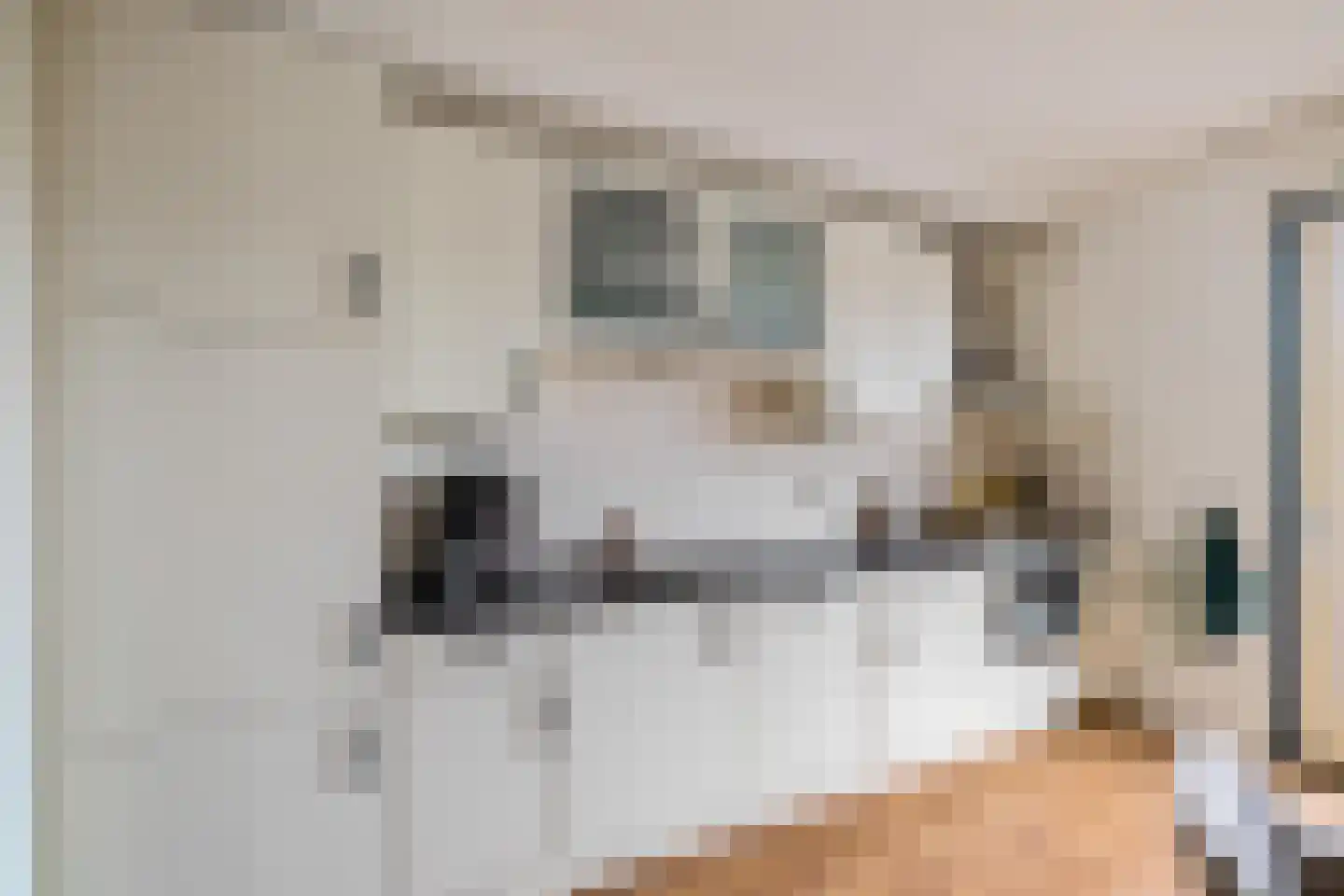 W F de Boerstraat 26 De Wilp thumbnail 4