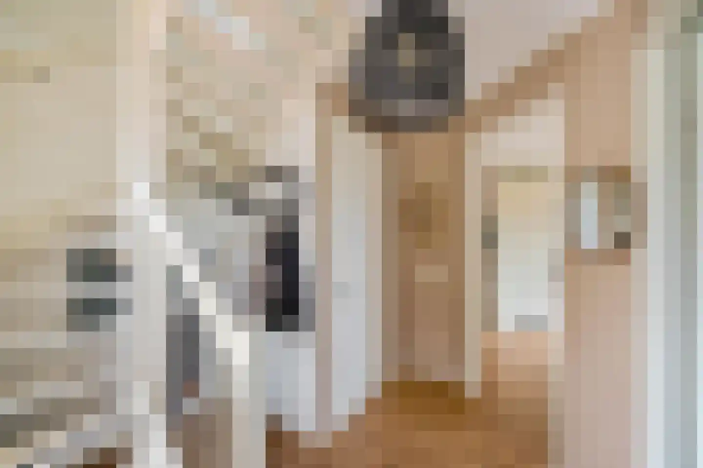 W F de Boerstraat 26 De Wilp thumbnail 5