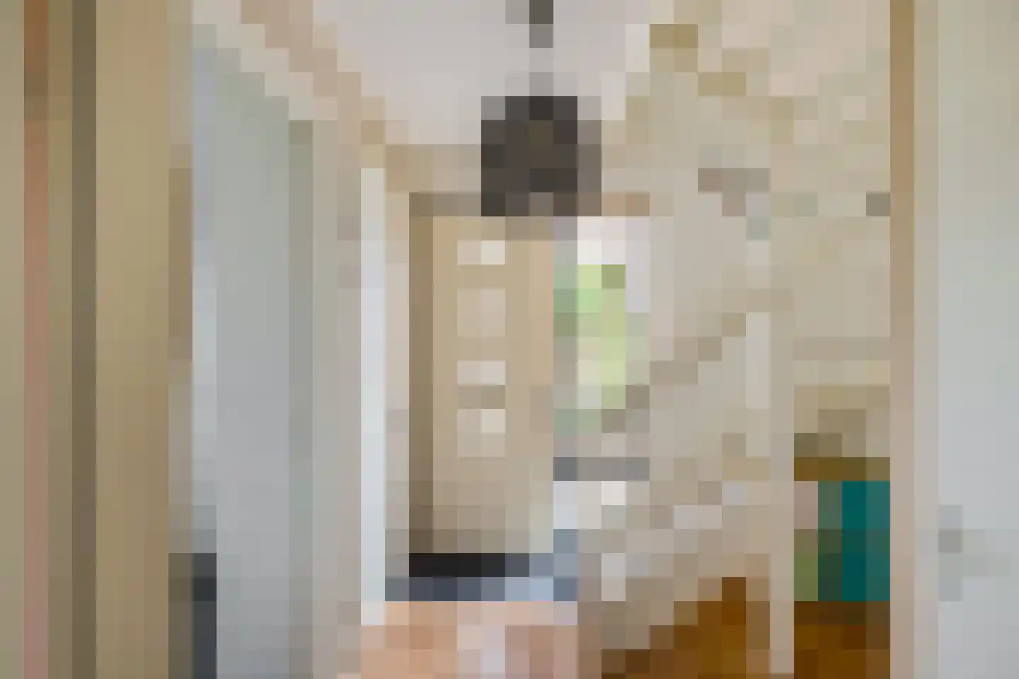 W F de Boerstraat 26 De Wilp thumbnail 6