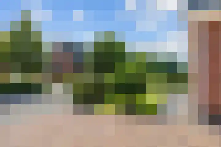 W F de Boerstraat 30 De Wilp thumbnail 5