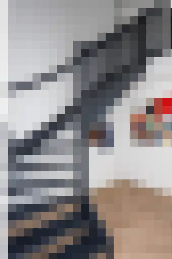 W F de Boerstraat 30 De Wilp thumbnail 7