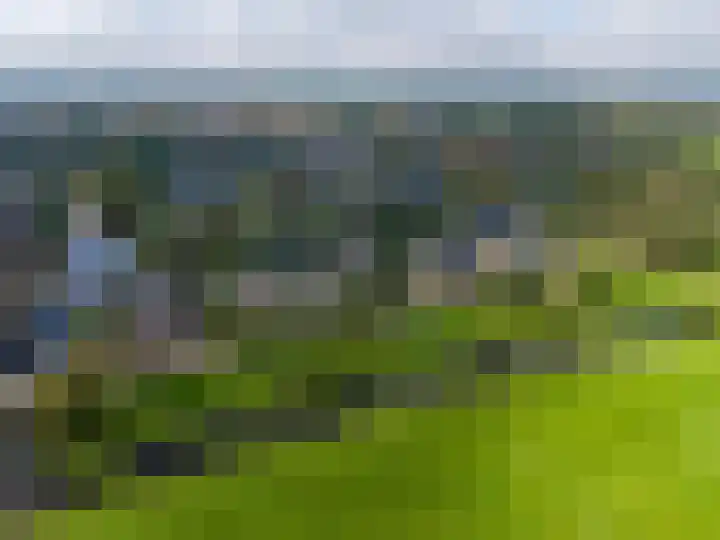 W F de Boerstraat 8 De Wilp thumbnail 11
