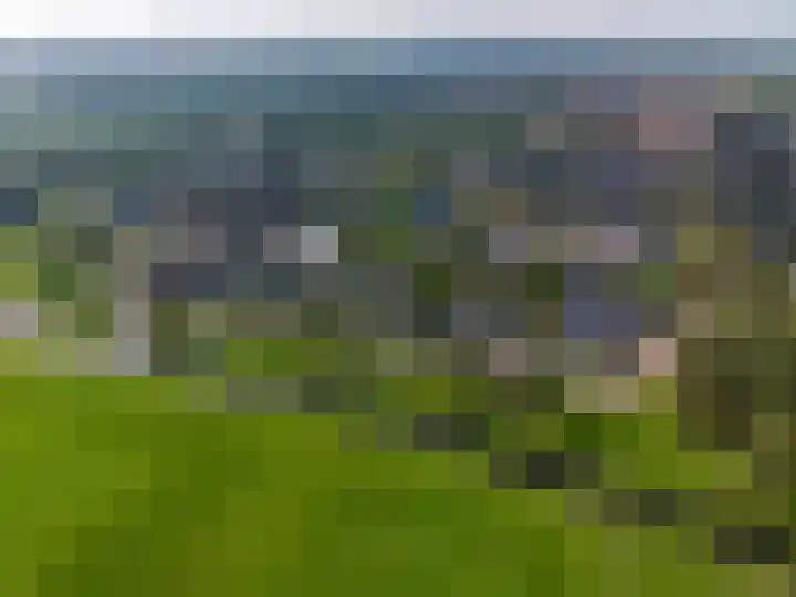 W F de Boerstraat 8 De Wilp thumbnail 12