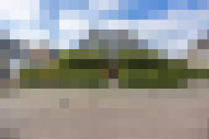 W F de Boerstraat 8 De Wilp thumbnail 15