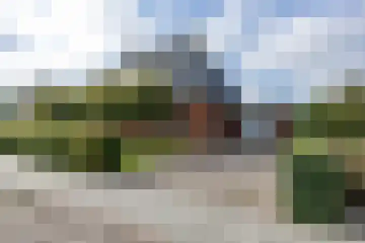 W F de Boerstraat 8 De Wilp thumbnail 17