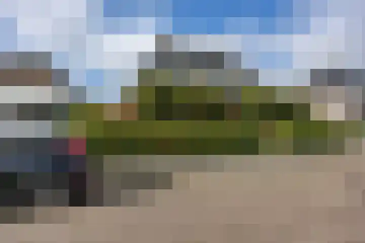 W F de Boerstraat 8 De Wilp thumbnail 20