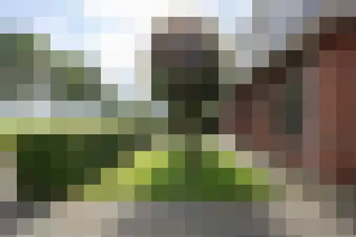 W F de Boerstraat 8 De Wilp thumbnail 21