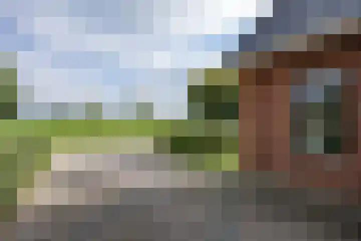 W F de Boerstraat 8 De Wilp thumbnail 22