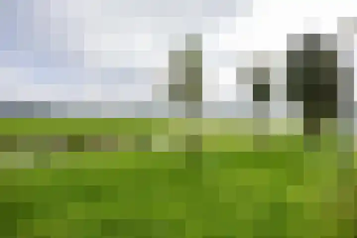 W F de Boerstraat 8 De Wilp thumbnail 23