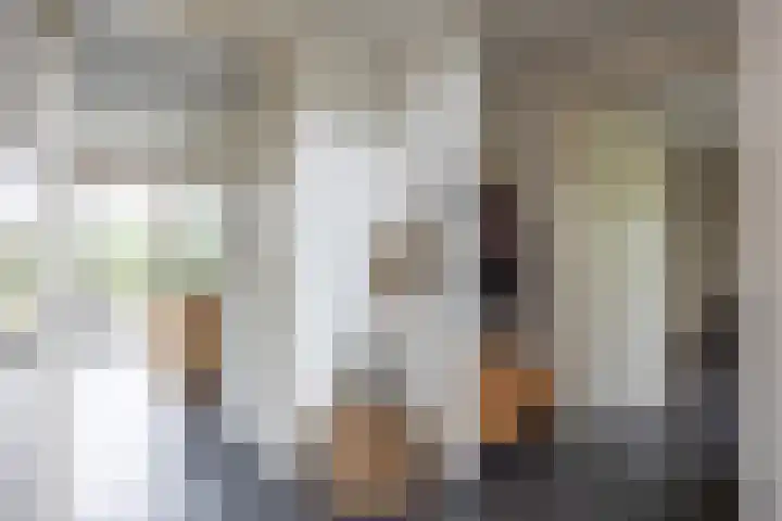 W F de Boerstraat 8 De Wilp thumbnail 27