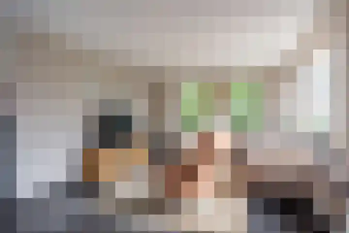 W F de Boerstraat 8 De Wilp thumbnail 30