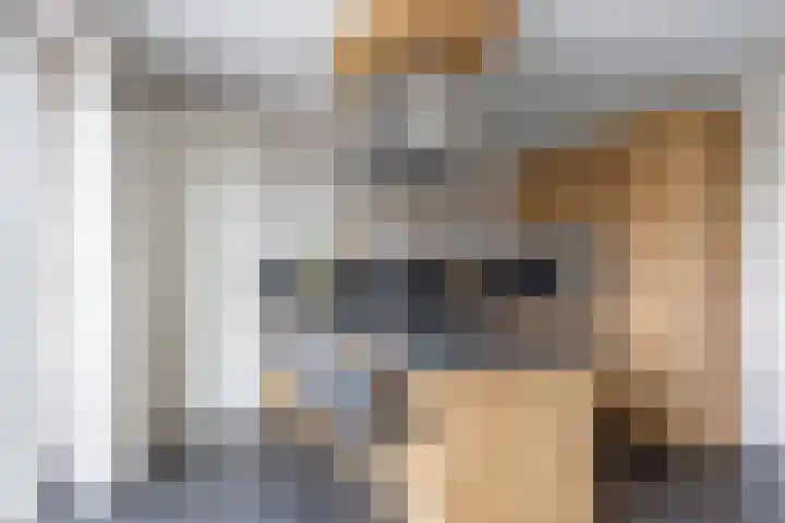 W F de Boerstraat 8 De Wilp thumbnail 38