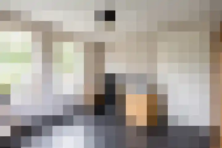 W F de Boerstraat 8 De Wilp thumbnail 46