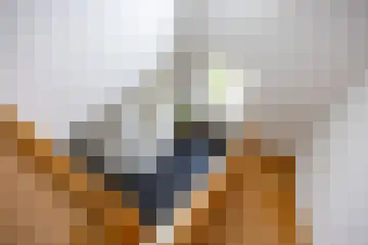 W F de Boerstraat 8 De Wilp thumbnail 58