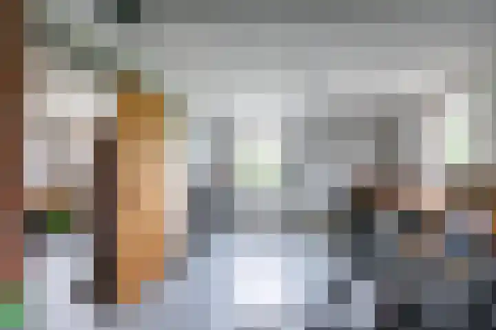 W F de Boerstraat 8 De Wilp thumbnail 6
