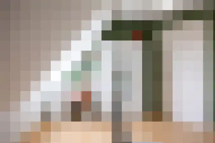 W F de Boerstraat 8 De Wilp thumbnail 66