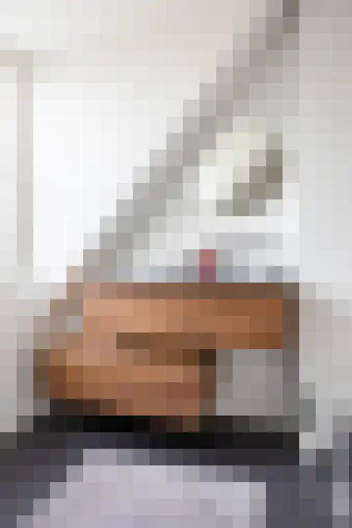 W F de Boerstraat 8 De Wilp thumbnail 69