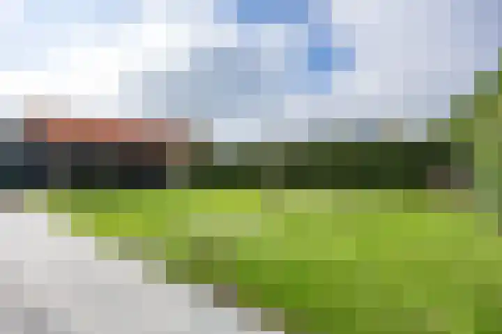 W F de Boerstraat 8 De Wilp thumbnail 73