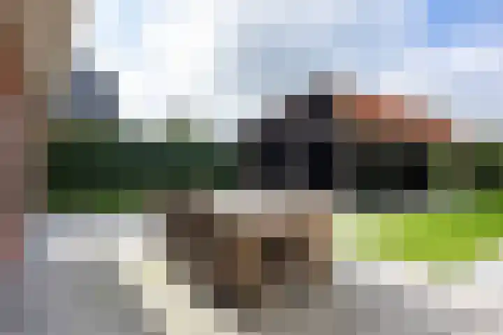W F de Boerstraat 8 De Wilp thumbnail 81