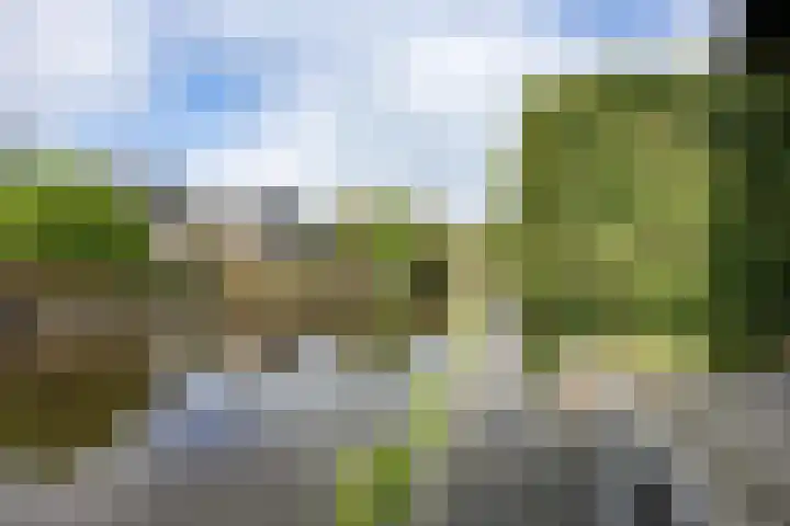 W F de Boerstraat 8 De Wilp thumbnail 88