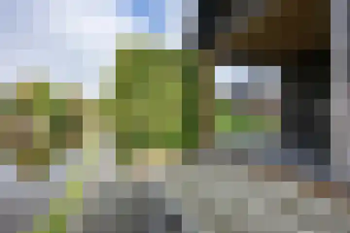 W F de Boerstraat 8 De Wilp thumbnail 89