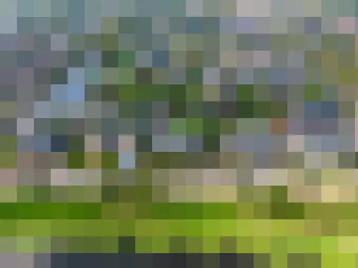 W F de Boerstraat 8 De Wilp thumbnail 9