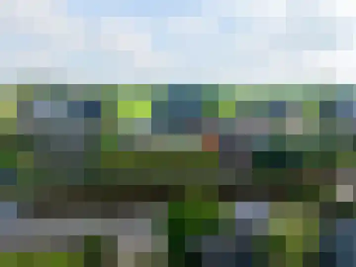 W F de Boerstraat 8 De Wilp thumbnail 96
