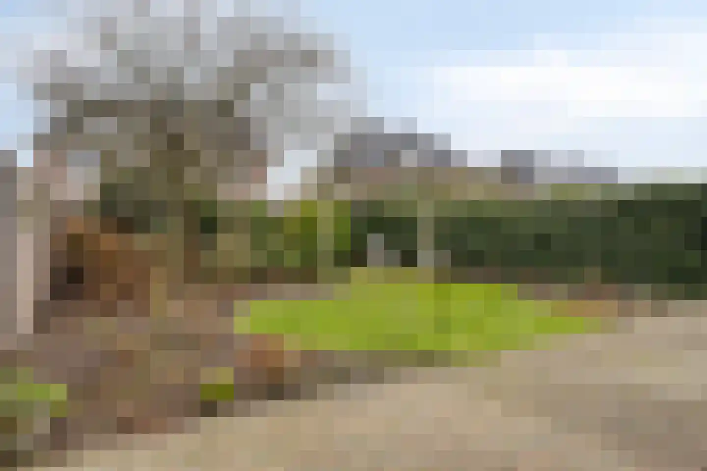 W.F. Hermanslaan 16 Kloetinge thumbnail 27