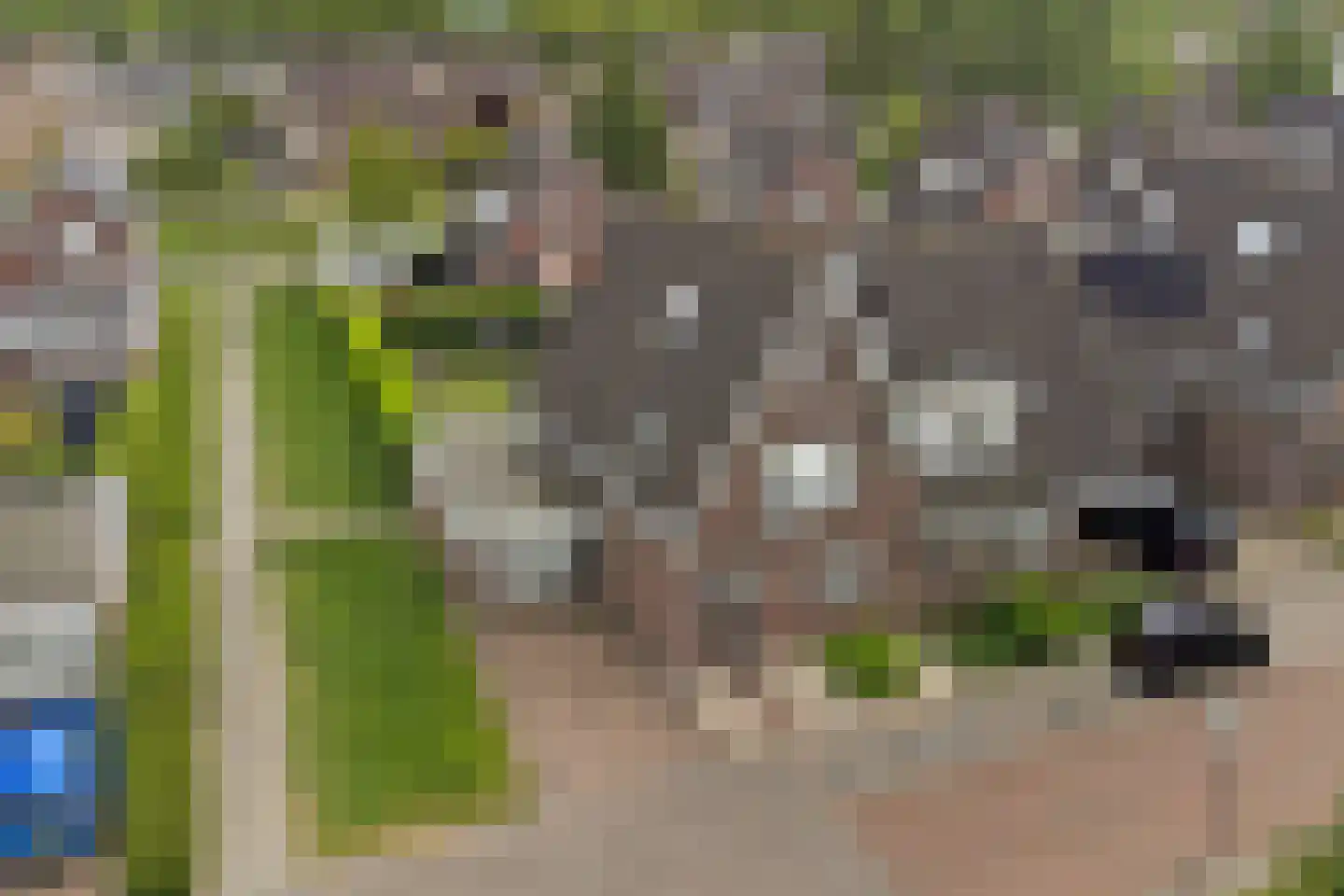 W.F. Hermanslaan 39 Kloetinge thumbnail 5