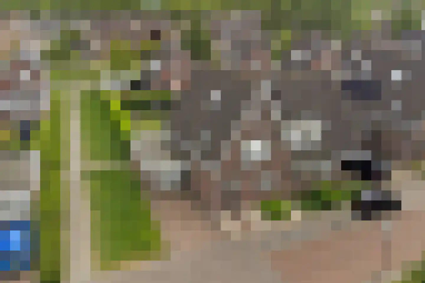 W.F. Hermanslaan 39 Kloetinge thumbnail 8