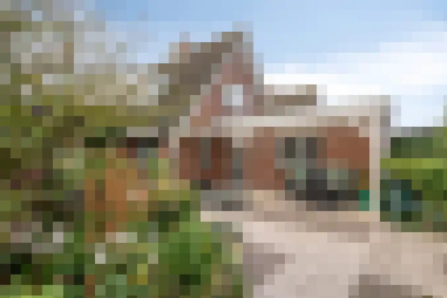 W.F. Hermanslaan 5 Kloetinge thumbnail 26