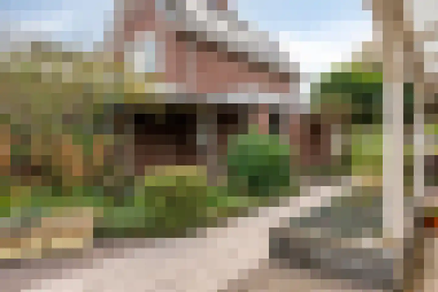 W.F. Hermanslaan 5 Kloetinge thumbnail 26