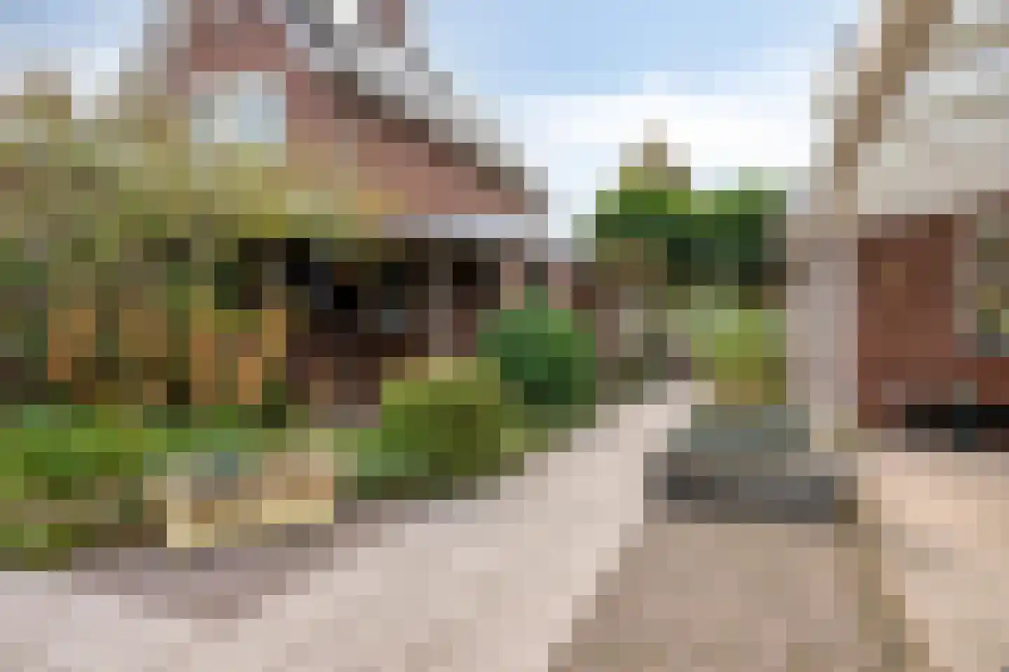 W.F. Hermanslaan 5 Kloetinge thumbnail 29