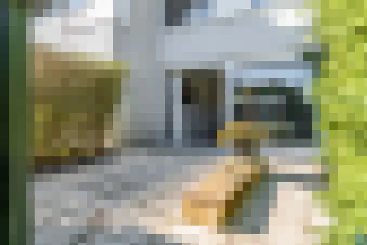 W.F. Hermansstraat 100 Arnhem thumbnail 10