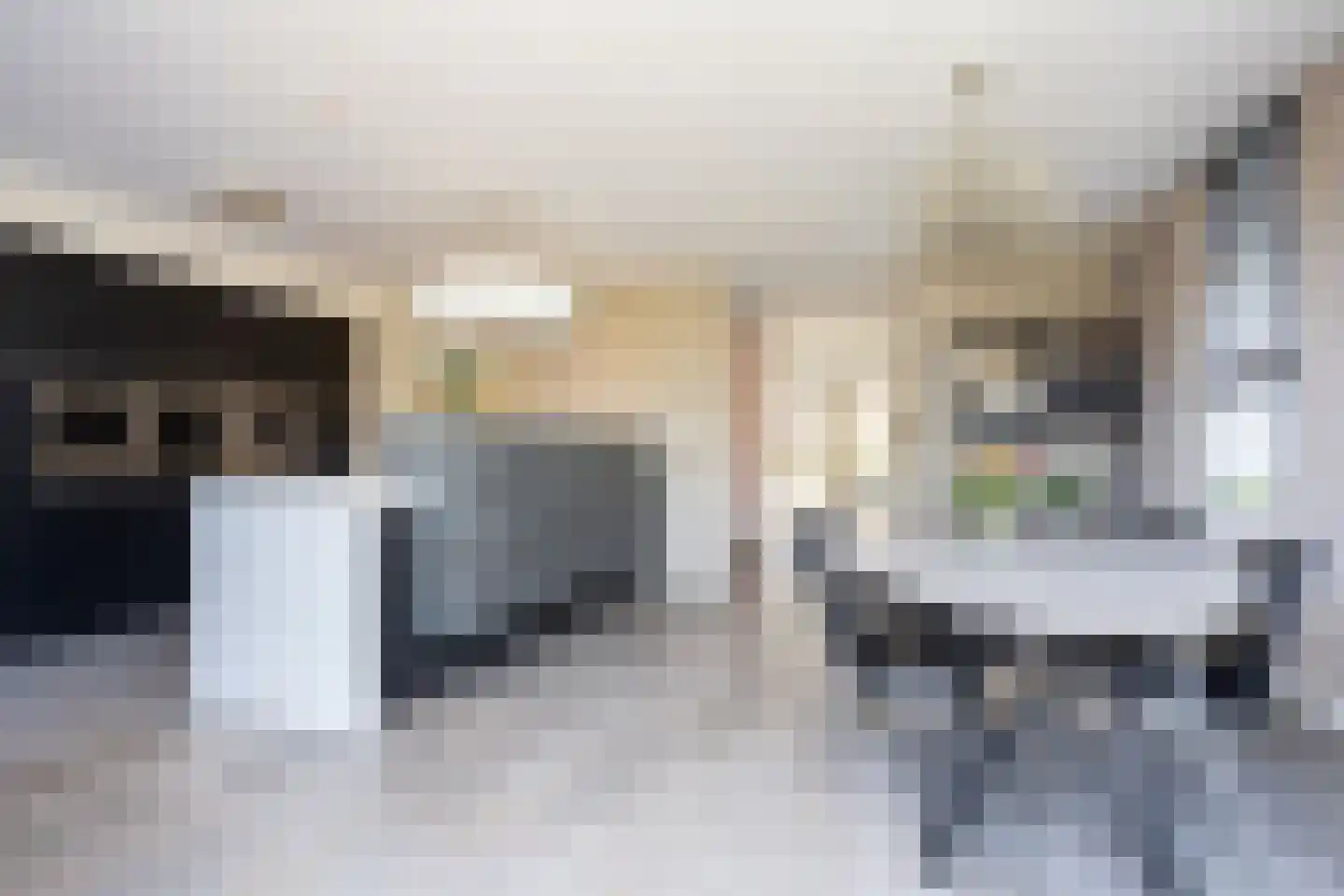 W.F. Hermansstraat 56 Berkel en Rodenrijs thumbnail 33