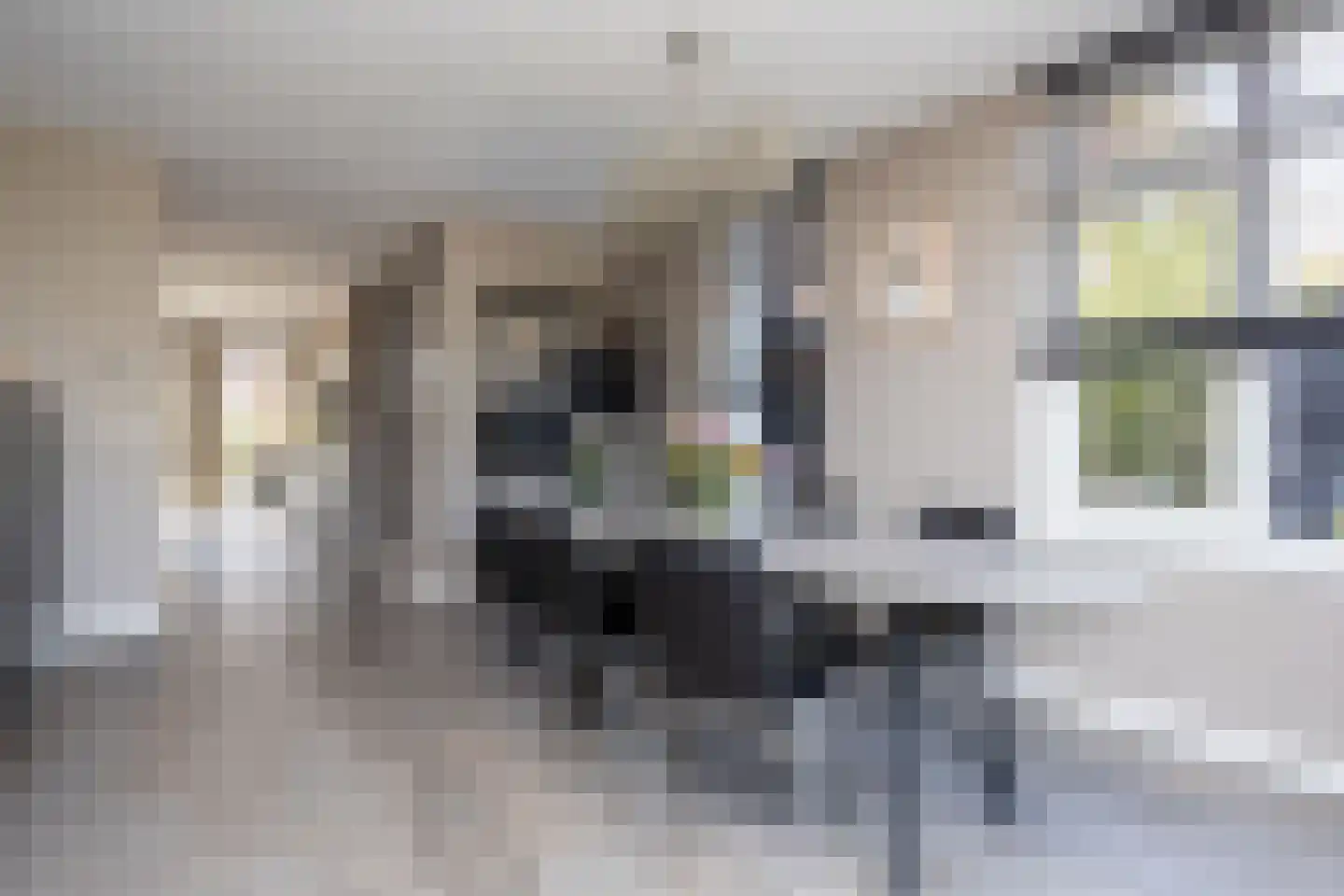 W.F. Hermansstraat 56 Berkel en Rodenrijs thumbnail 34