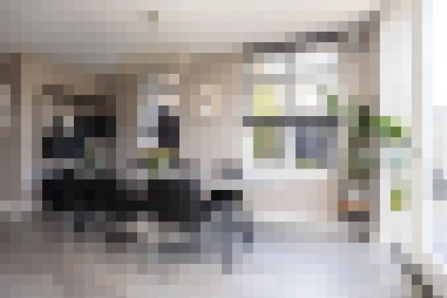 W.F. Hermansstraat 56 Berkel en Rodenrijs thumbnail 35