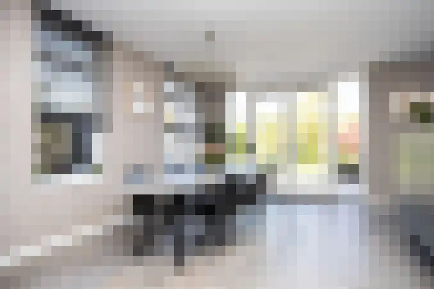 W.F. Hermansstraat 56 Berkel en Rodenrijs thumbnail 36