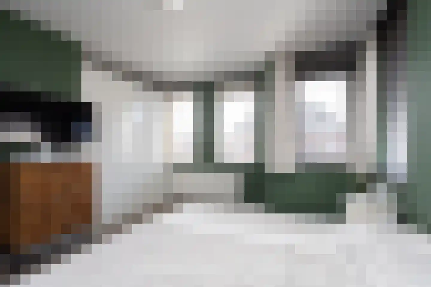 W.F. Hermansstraat 56 Berkel en Rodenrijs thumbnail 47