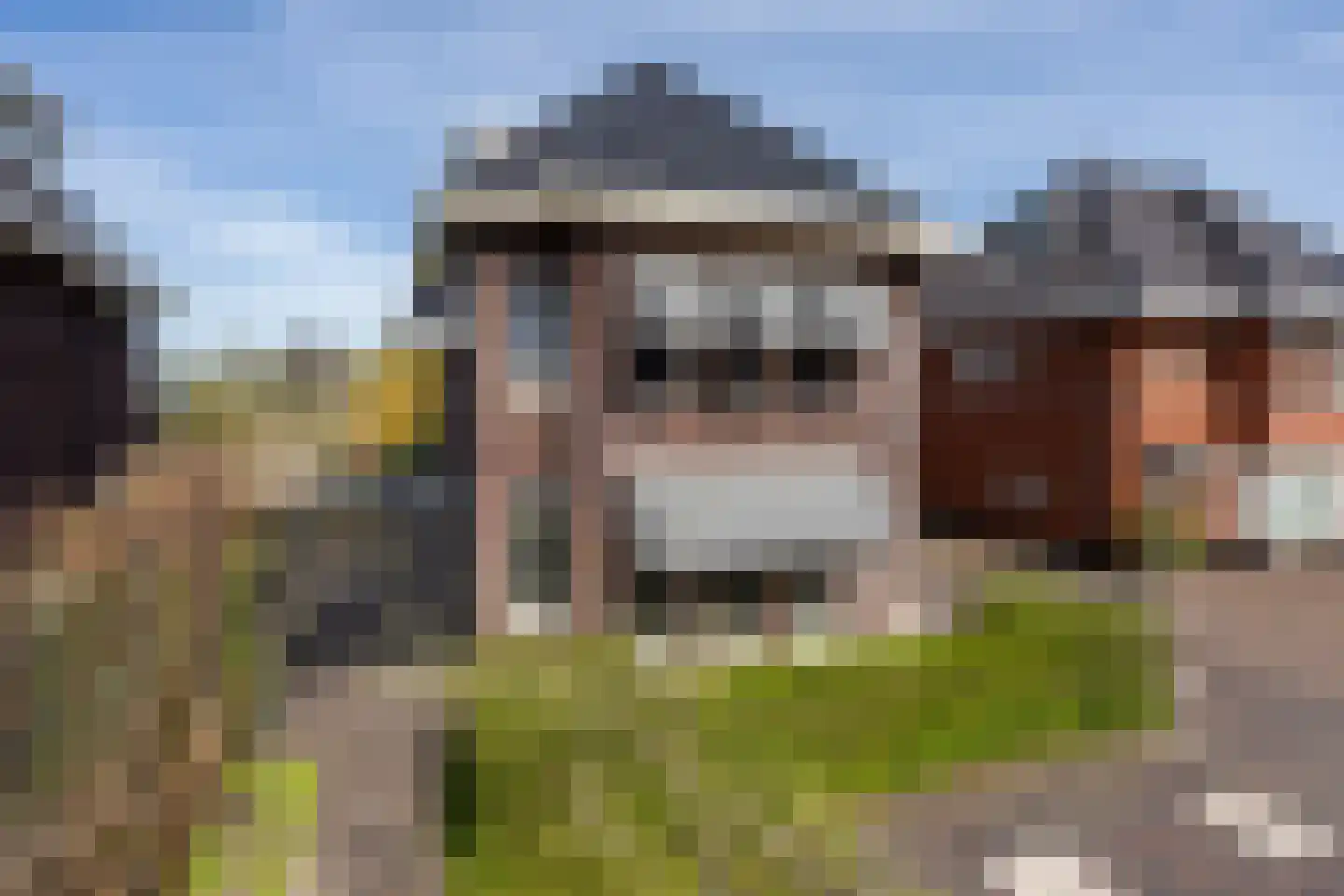 W.F. Hermansstraat 56 Berkel en Rodenrijs thumbnail 6