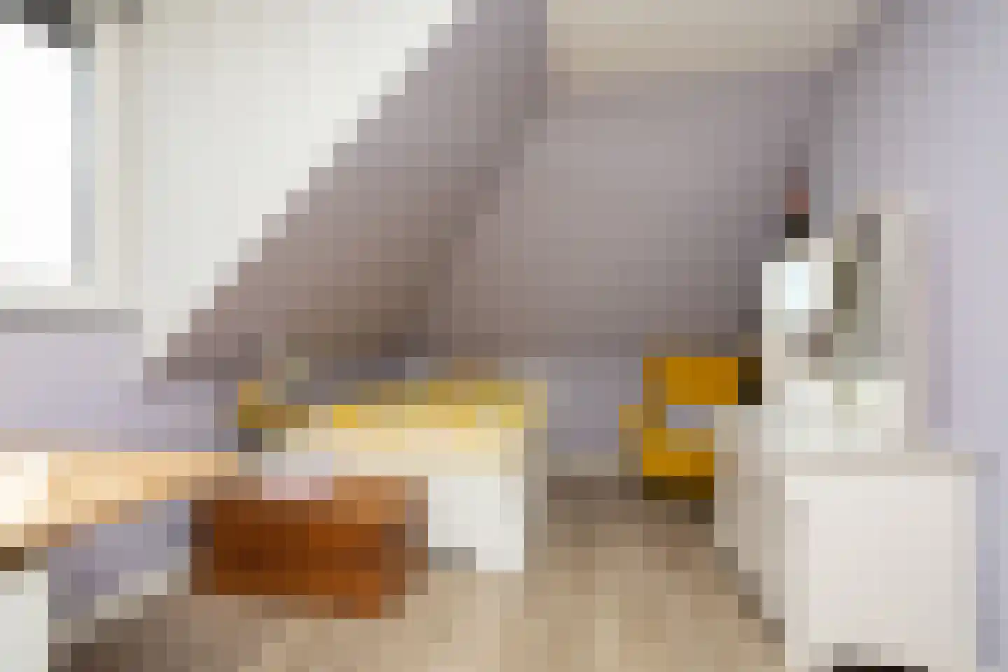 W.F. Hermansstraat 56 Berkel en Rodenrijs thumbnail 62