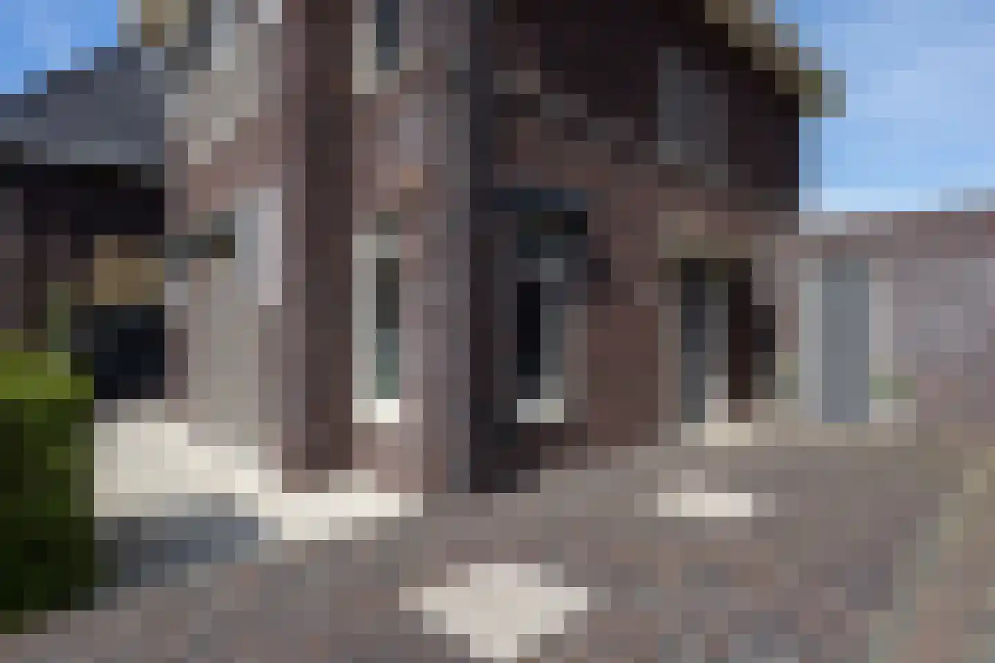 W.F. Hermansstraat 56 Berkel en Rodenrijs thumbnail 8
